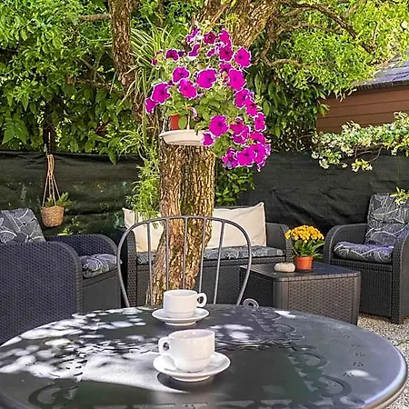 Bed & Breakfast Ca' Rina 3*